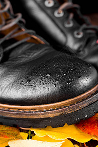 木本底黑色靴子图片