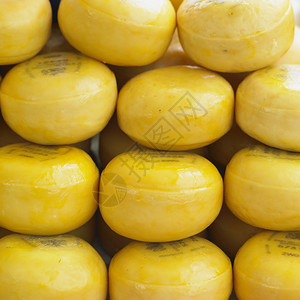 奶酪市场阿尔克马尔荷兰图片