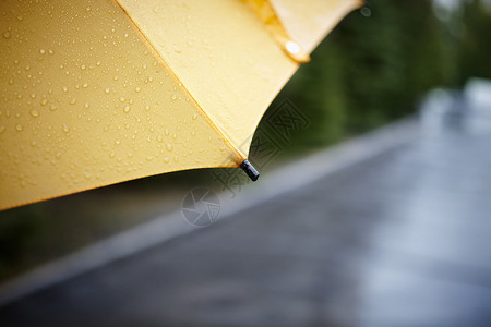 有黄色雨伞有选择地关注最近图片