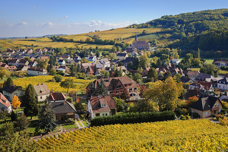 秋天在法国Alsace的安劳图片