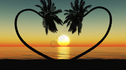 天堂与地域在热带海滩的日落与椰子棕榈树剪影设计图片