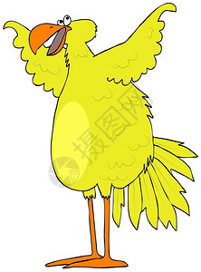 一只黄色鸟张开翅膀的插图图片