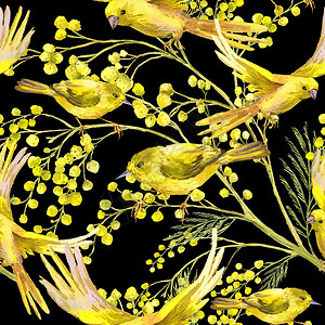 Mimosa和黄鸟的无缝泉水背景图片