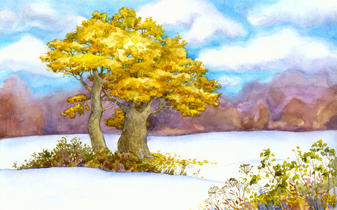 越冬清凉的雪地日落黄树连在插画