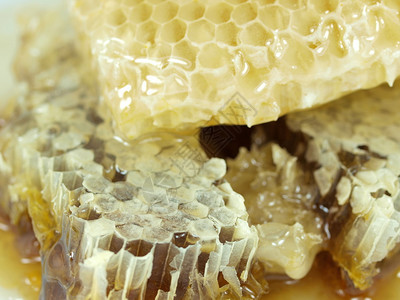 蜂窝和蜂蜜图片