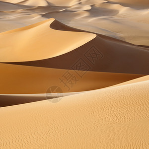 炎热沙漠中图片