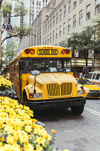 黄色校车和汽车在纽约市纽约街图片