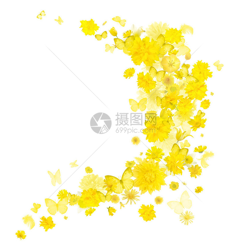 黄色花朵和蝴蝶的微风图片