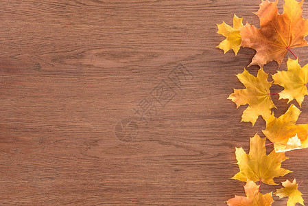 棕色木质表面黄秋叶树图片