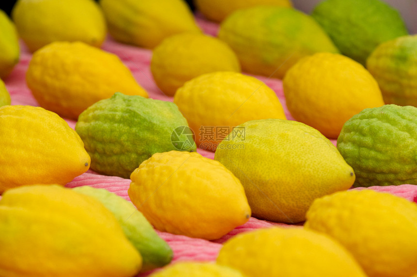 黄色香橼在犹太住棚节假期的四个品种市场上展出在Sukkot期间图片