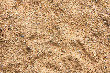 海滩上的湿沙文字图片