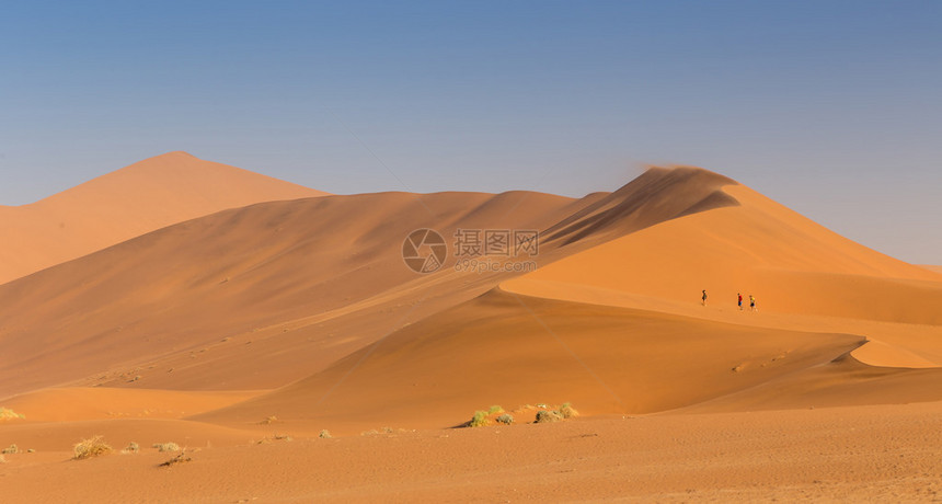 Namib沙漠索苏图片