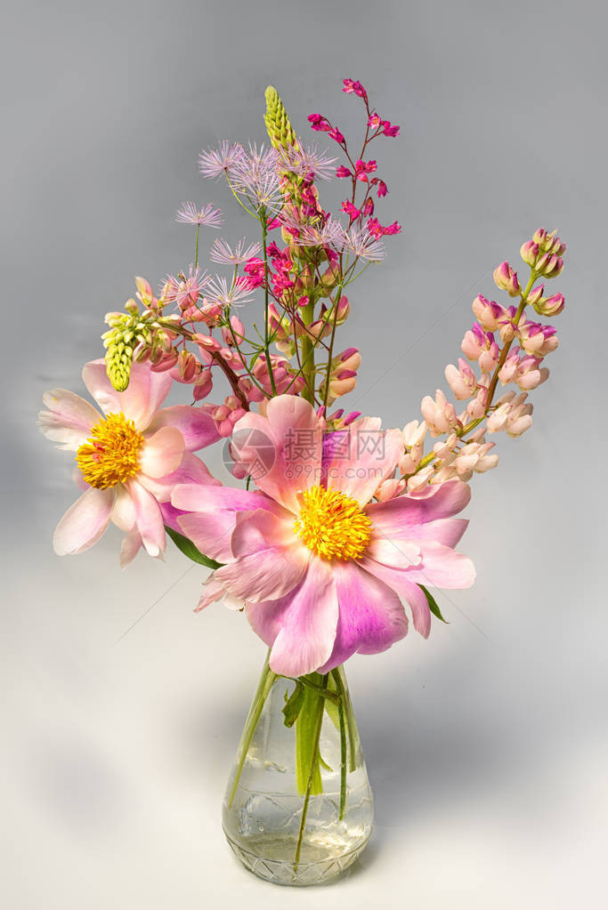 树状牡丹和羽扇豆花的静物花束图片