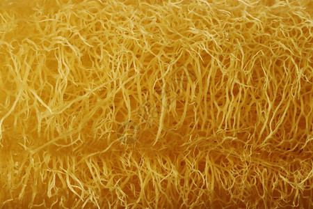黄色天然乳脂纤维抽图片