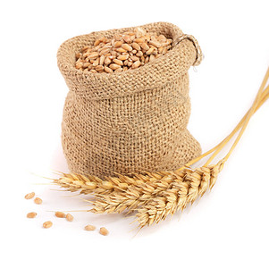 小麦涨幅和小麦颗粒在薄荷袋中孤图片
