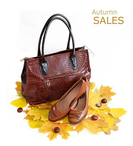 皮革奢侈品妇女手袋和鞋子在白背景与秋叶图片