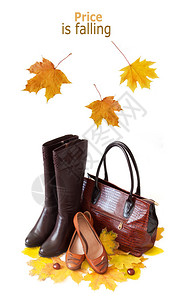 带秋叶的皮鞋和包袋鞋子和包袋图片