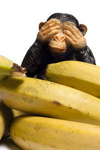 和许多香蕉人一图片