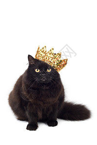 黑猫头戴金冠隔离图片