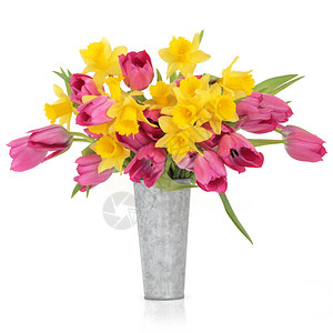 花朵和水仙花在压抑的铝花瓶里图片