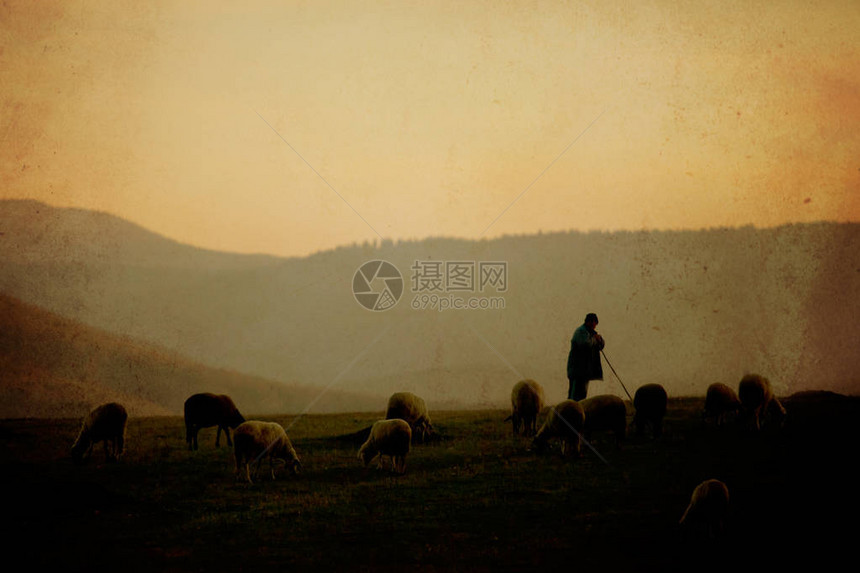 在羊群和牧羊人之间日落时分古图片