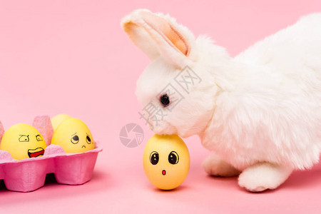 小兔子打伞表情复活节和彩色鸡蛋粉红背景