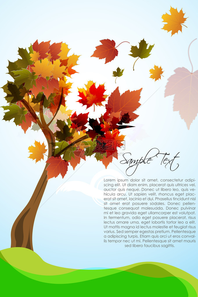 秋天的枫树插画图片
