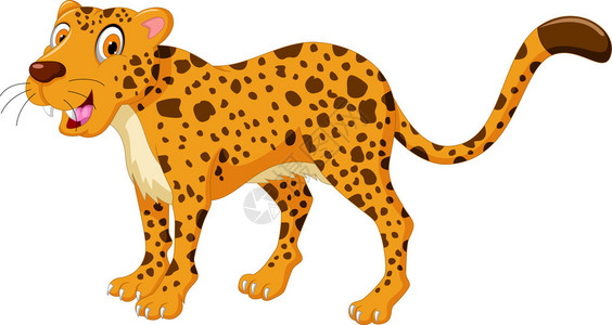 可爱的猎豹卡通摆姿势的插图图片