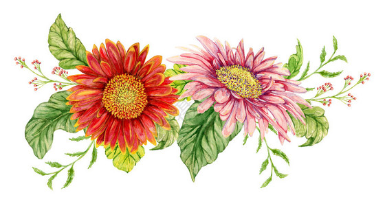 花环与水彩非洲菊花手绘插图图片