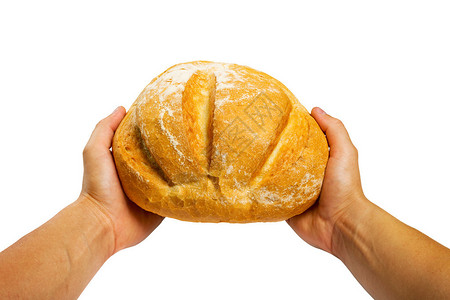 握着新鲜面包的贝克手白图片