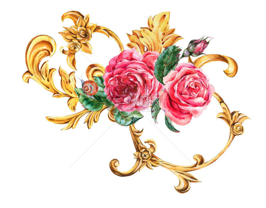 水彩金色巴洛克花卉卷曲和红玫瑰图片