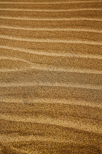 沙溪里干沙和海滩的纹理抽象摘要插画
