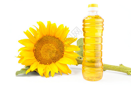 一瓶向日葵油花朵孤立在白图片