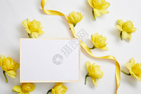 黄色自恋花朵白色空卡片和白色黄图片