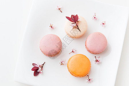 法国甜美的味花样丰富多彩的马卡龙配有春图片