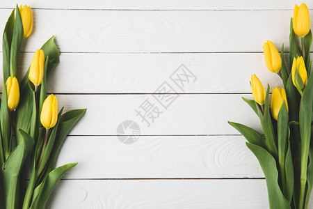 白色木质表面美丽的黄色郁金香图片