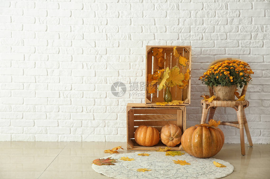 美丽的秋天成分南瓜和白砖墙图片