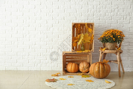 美丽的秋天成分南瓜和白砖墙背景图片