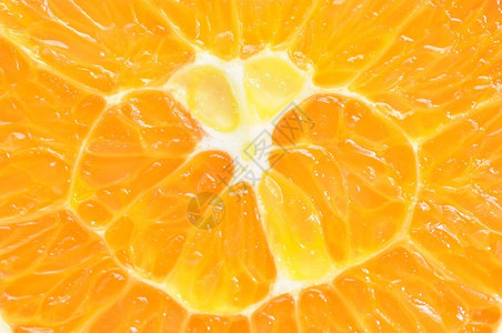 宏观自然橙色背景图片