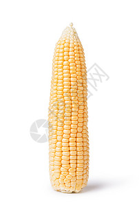 孤立在白色背景上的玉米图片