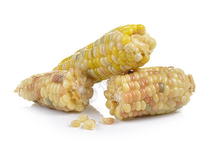白色背景上的糯玉米图片