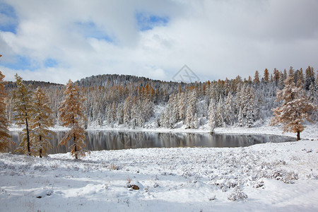 Altai山丘和雪图片
