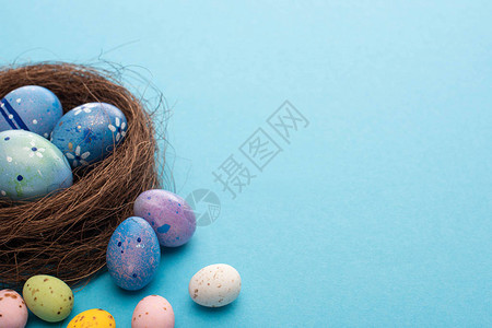 蓝色背景中的巢和五颜六色的鸡和鹌鹑蛋图片