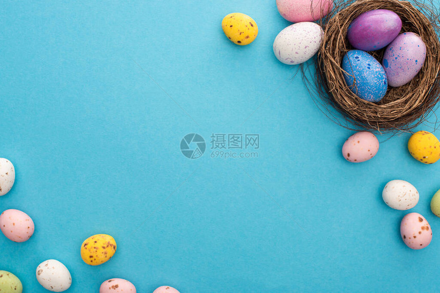 在蓝色背景上筑巢的彩色鸡肉和鹌鹑蛋的顶部视图图片