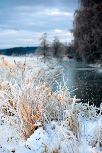 在美丽的冬季风景图片