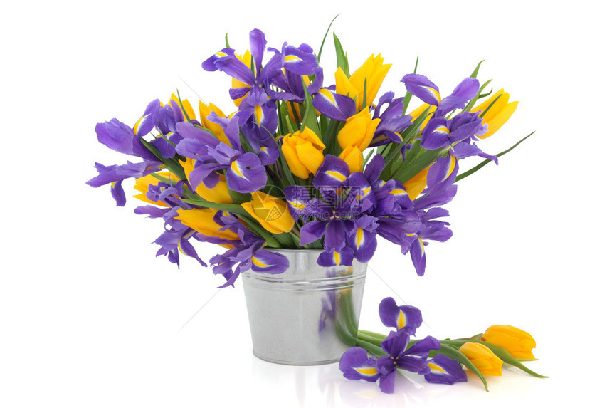 Iris和郁金香花放在一个金属铝锅里图片