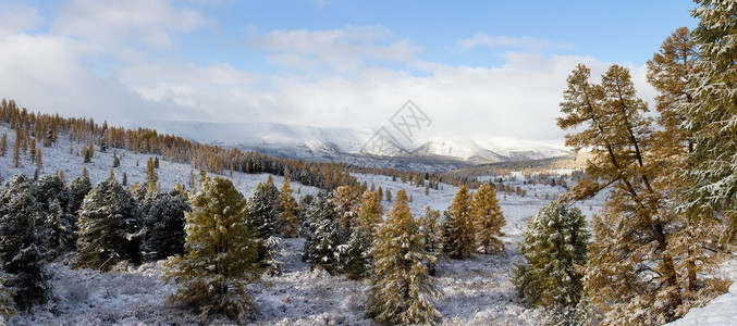 Altai山的风景秋天的第一场雪pan图片