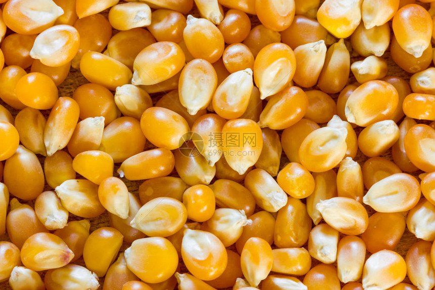 爆米花质地的玉米图片