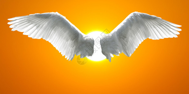 天使翅膀背景是日落图片