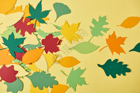 以黄色背景排列的彩色纸做的叶子布置图片